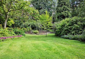 Optimiser l'expérience du jardin à Chatelaillon-Plage